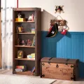 PIRATE_BOOKCASE_2_9e0e0c71-9618-402a-a2a8-9cc248c58d0a@2x