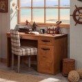 PIRATE_STUDY_DESK_abc_986e992d-a8b2-4fa3-88a5-3eece9592936@2x