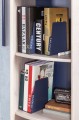 TRIO_BOOKCASE_WITH_STORAGE_4@2x