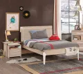 aa